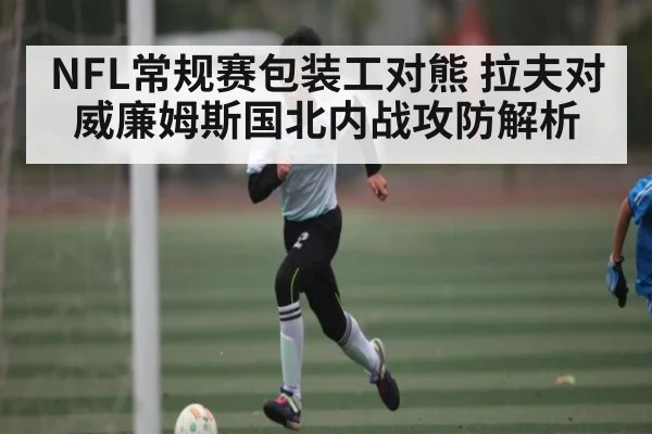 NFL常规赛包装工对熊 拉夫对威廉姆斯国北内战攻防解析 - CQ9
